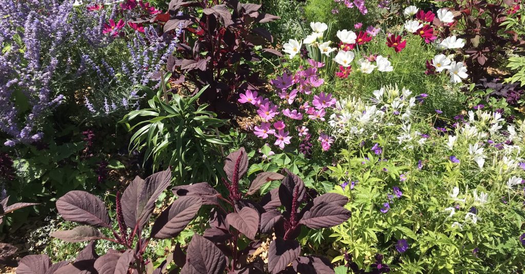 expert garden coach