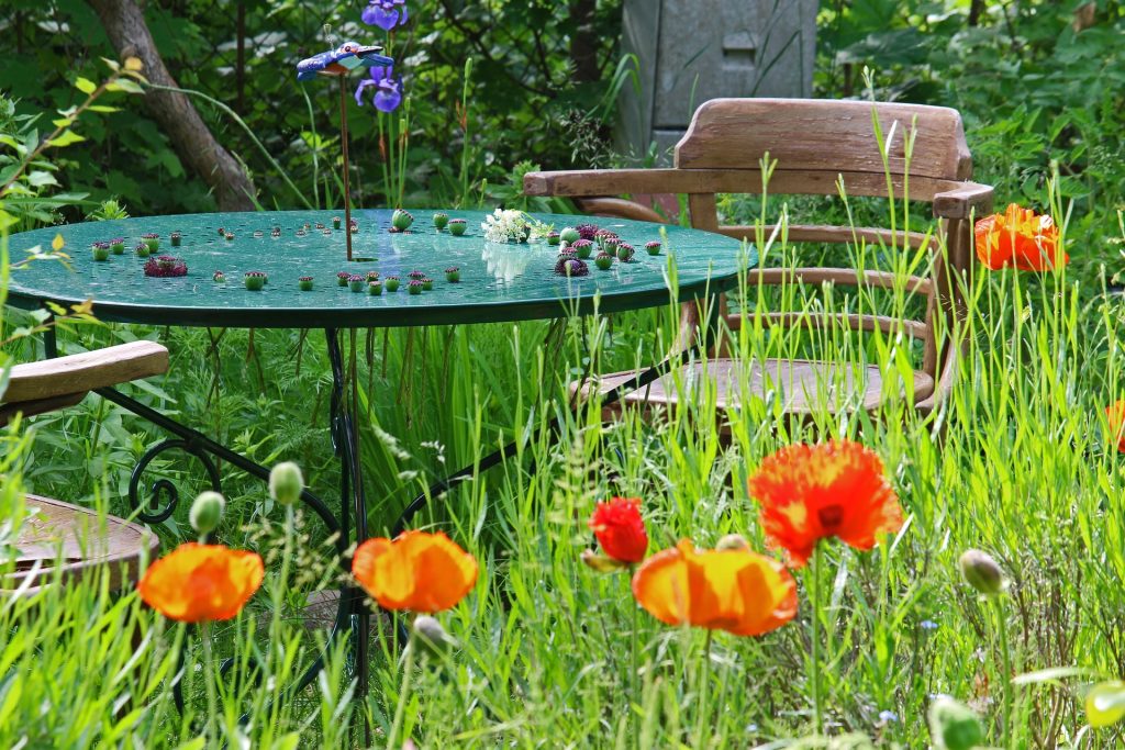Garden coaching create a kitchen garden