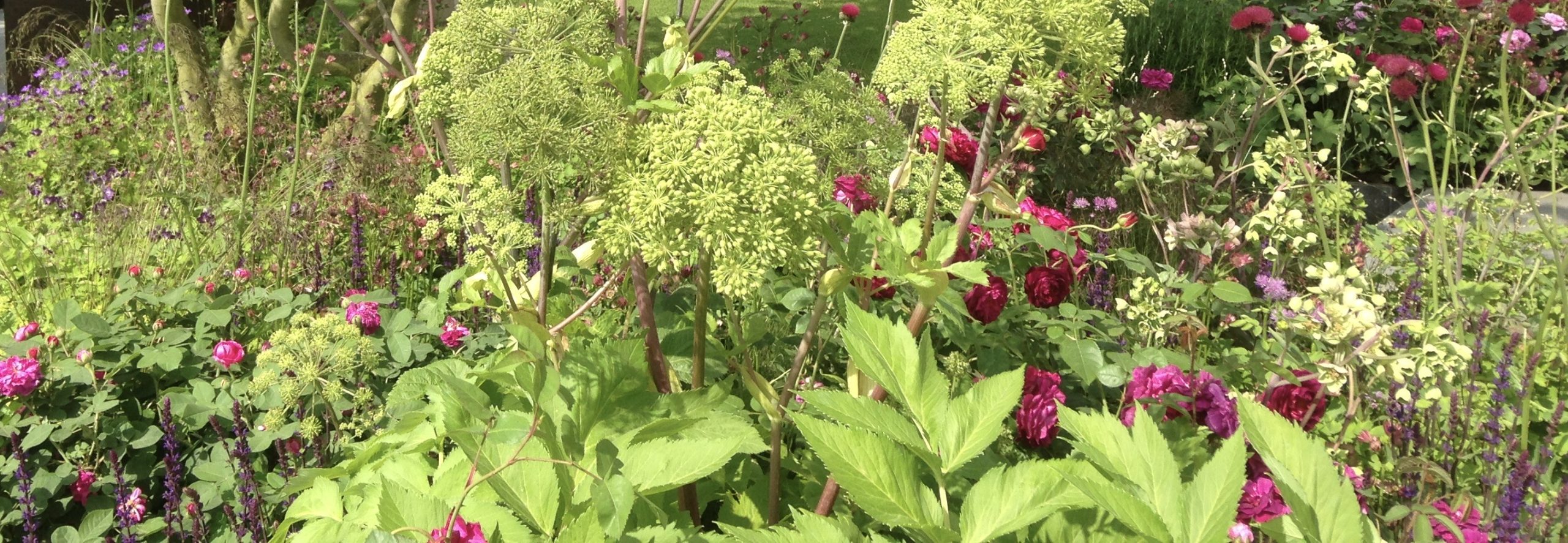 garden coaching gardening lessons UK