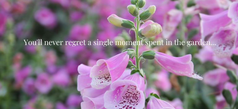 Leading UK gardening coach Lucy Summers